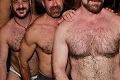 bear party sml