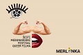 merlinka2014sml