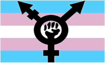 trans power