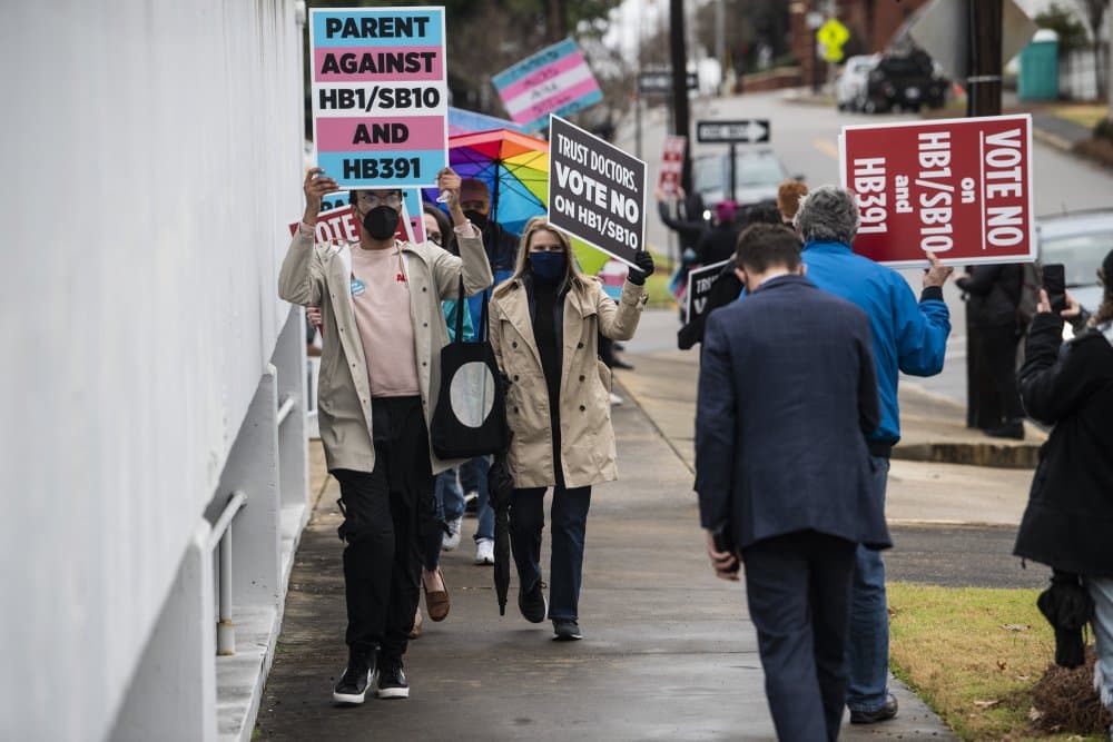 Roditelji i deca protestuju protiv usvajanje predloga zakona i zahtevaju prava za trans osobe ispred senata u Montgomeriju, Alabama, 2. marta, 2021.