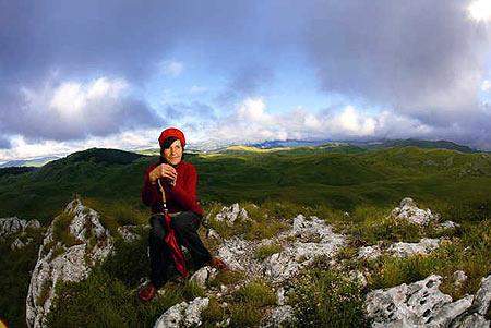 virdzina